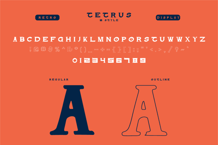 HANS - TETRUS - Image 2